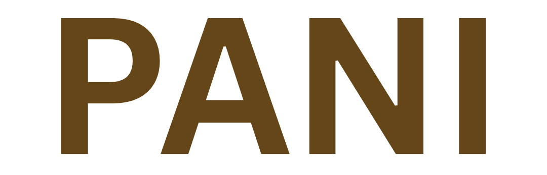 PANI Spaura-3